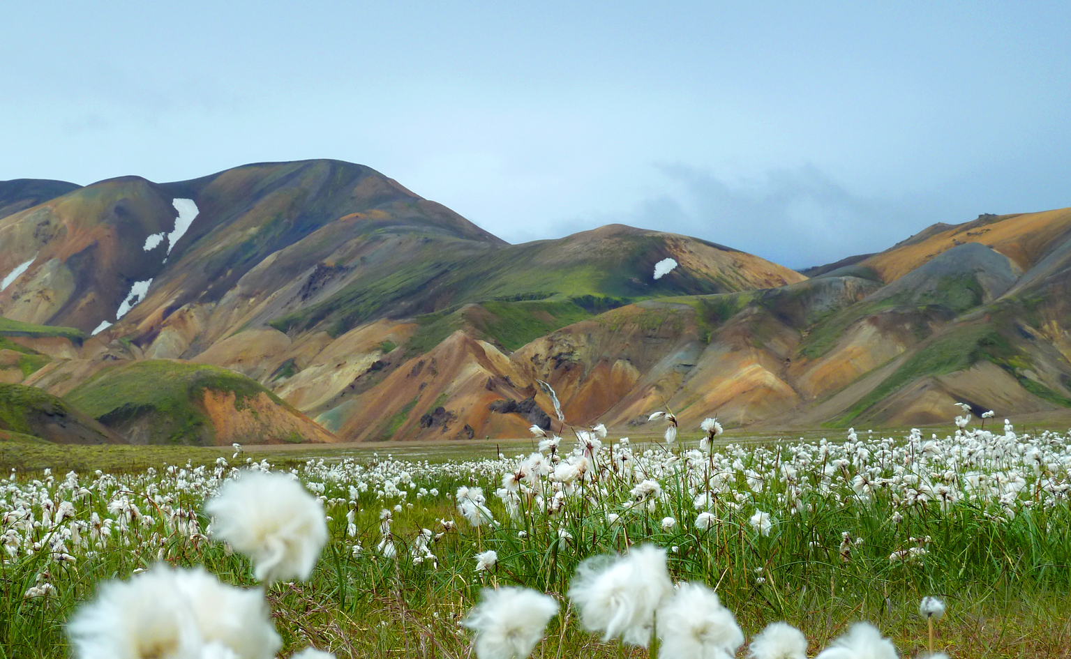 Island, Suedisland, Landmannalaugar, Wollgras, bunte Berge, Hochland