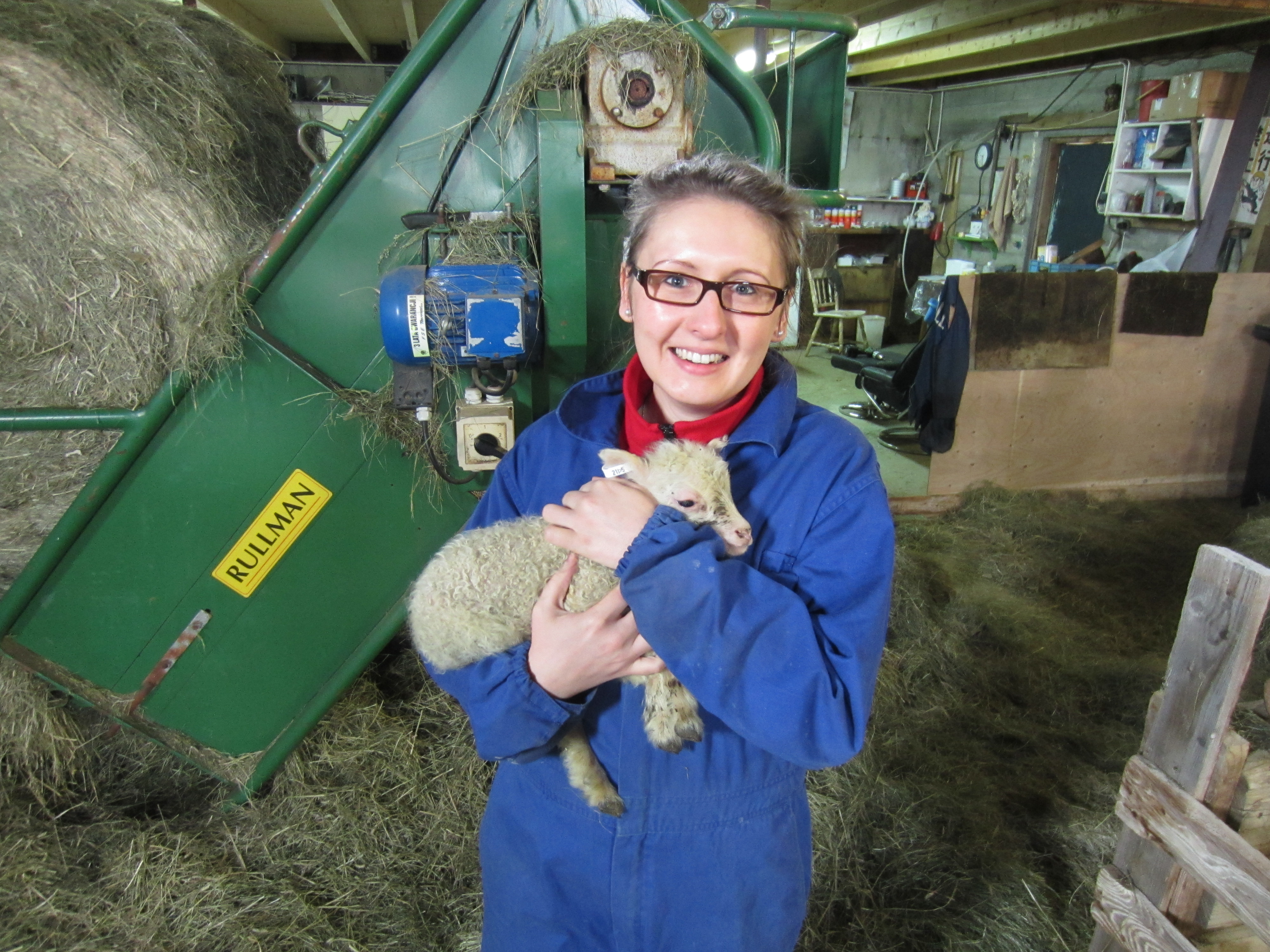 Jacqueline mit Lämmchen, Hof Bjarteyjarsandur Westisland