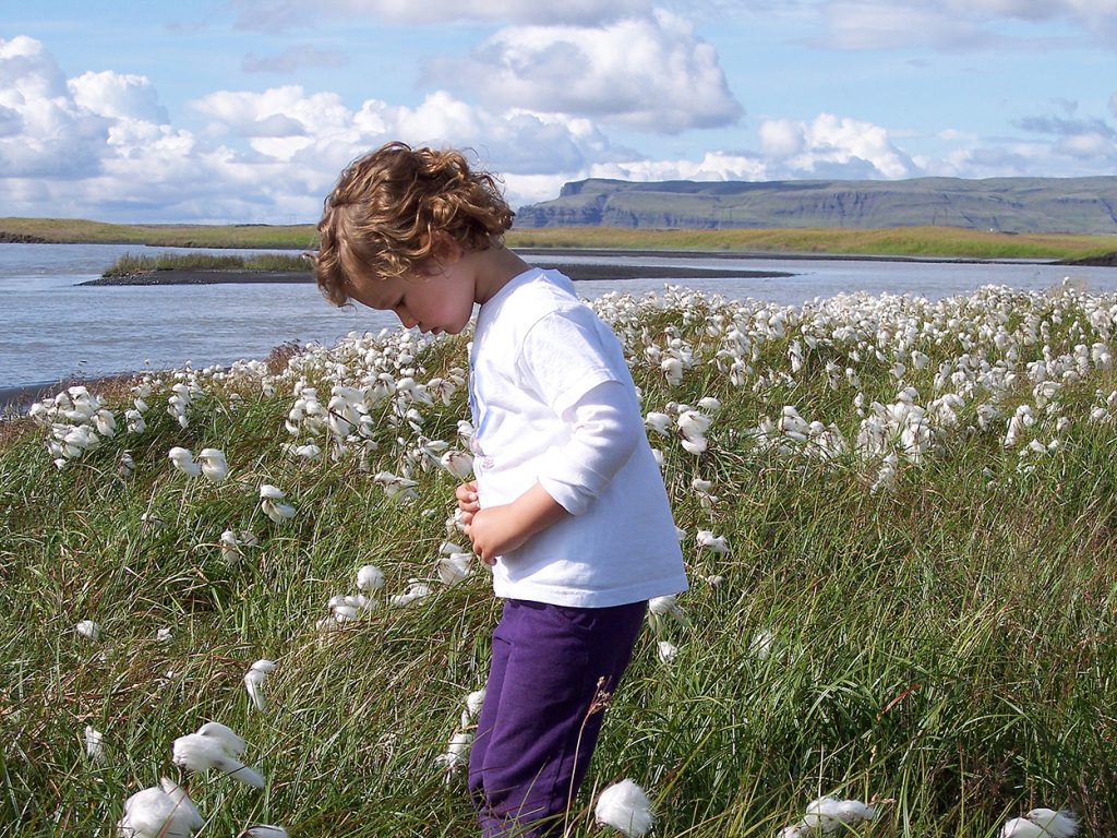 Kind auf Blumenwiese in Island