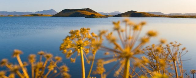 Island, Nordisland, Myvatn, See, Pseudokrater, Herbst,