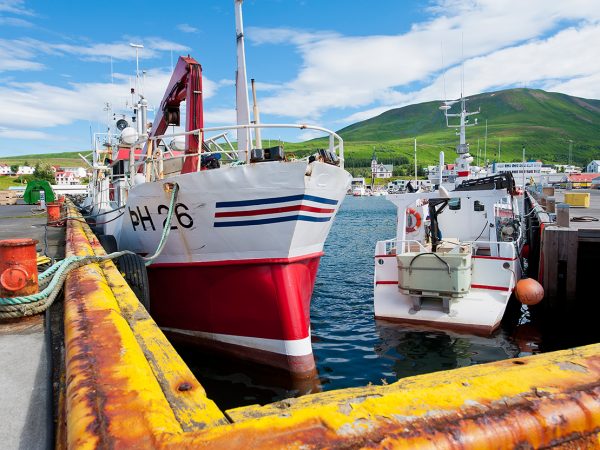 Boote am Hafen von Husavík in Nordisland, Walbeobachtung