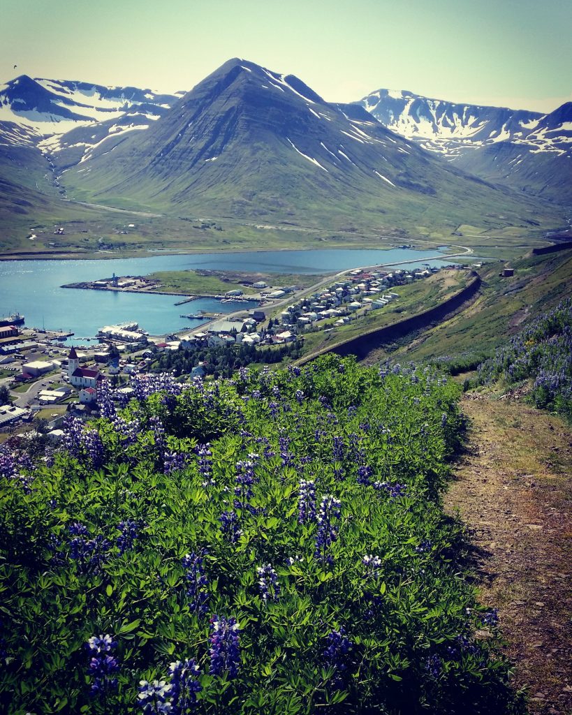 Ausblick auf Siglufjördur