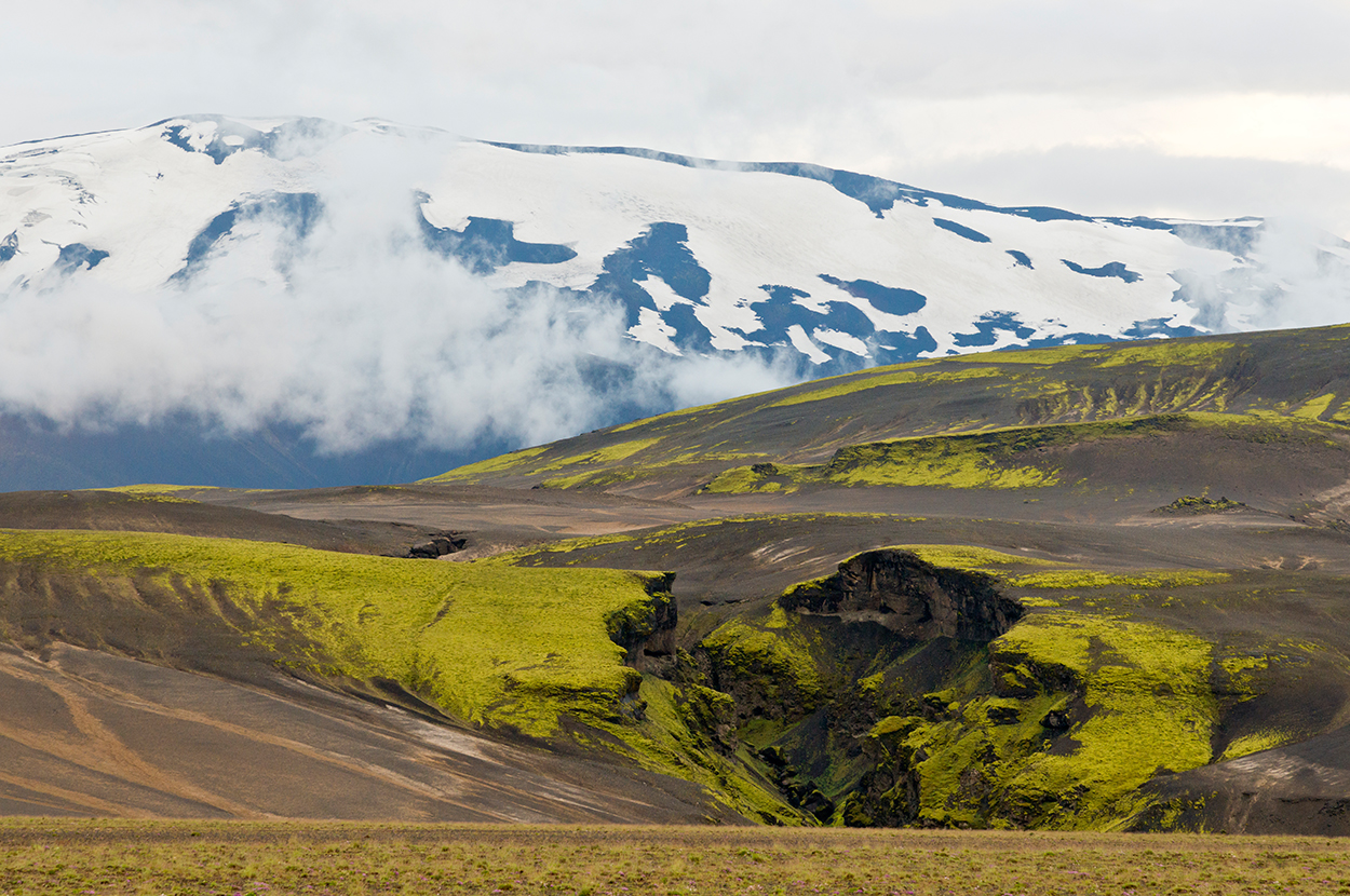 Moosbedecktes Vulkangestein vor dem schneebedeckten Vulkan Hekla in Island