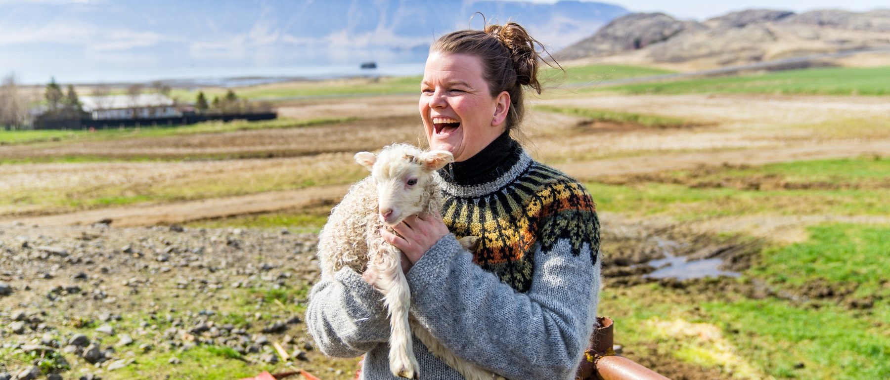 Isländerin mit gestricktem Pulli und Lamm