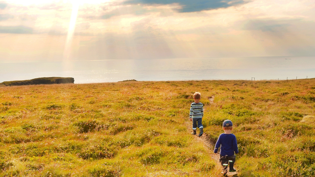 Kinder gehen über eine Wiese an Islands Küste