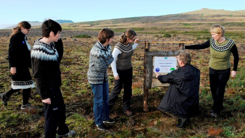 Katla Travel bringt das Sponsoringschild im Haukadalur Aufforstungsgebiet an.