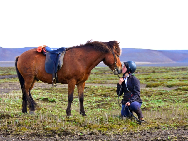 Reiterin mit Ihrem Pferd in Island