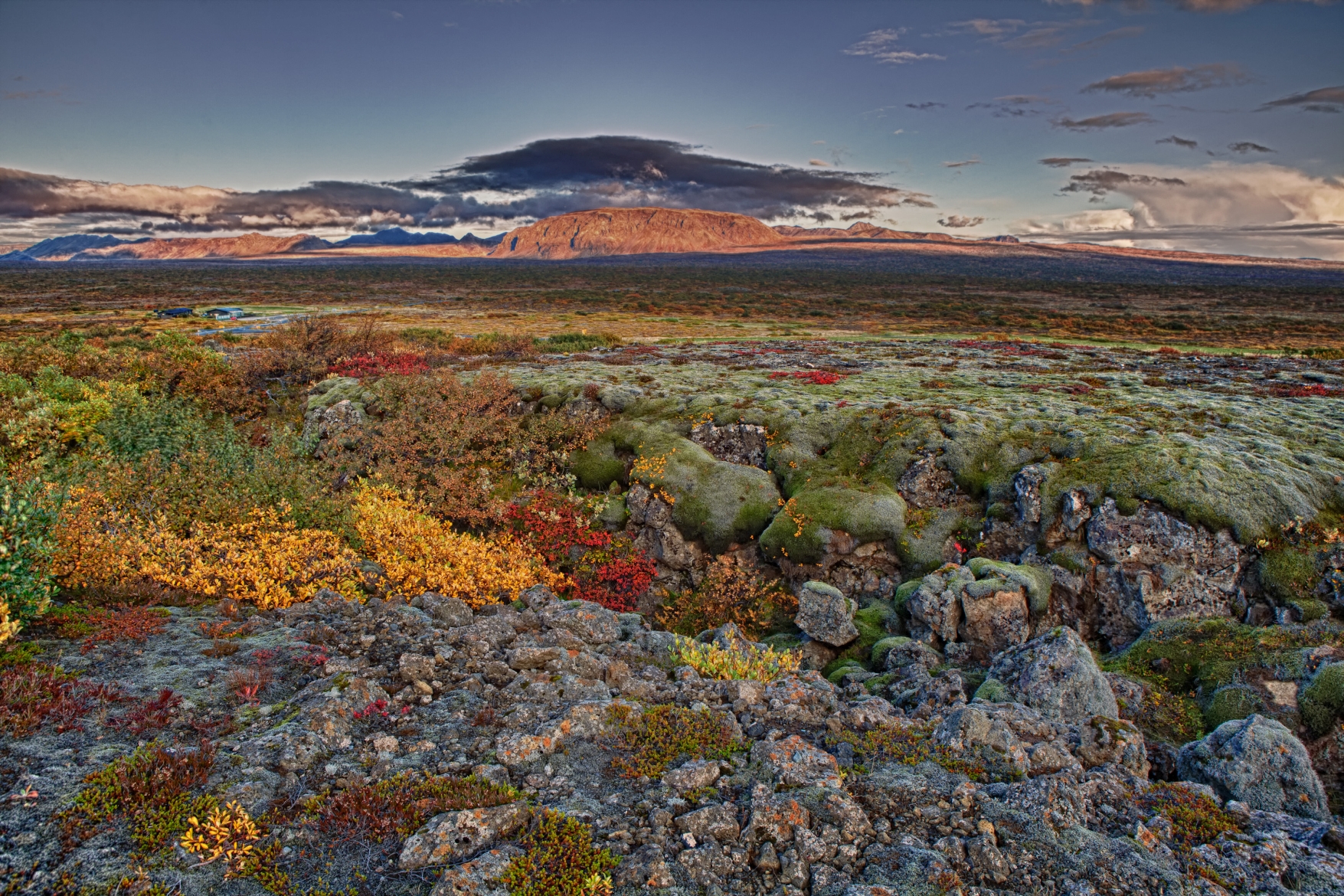 Herbstfarben in Island