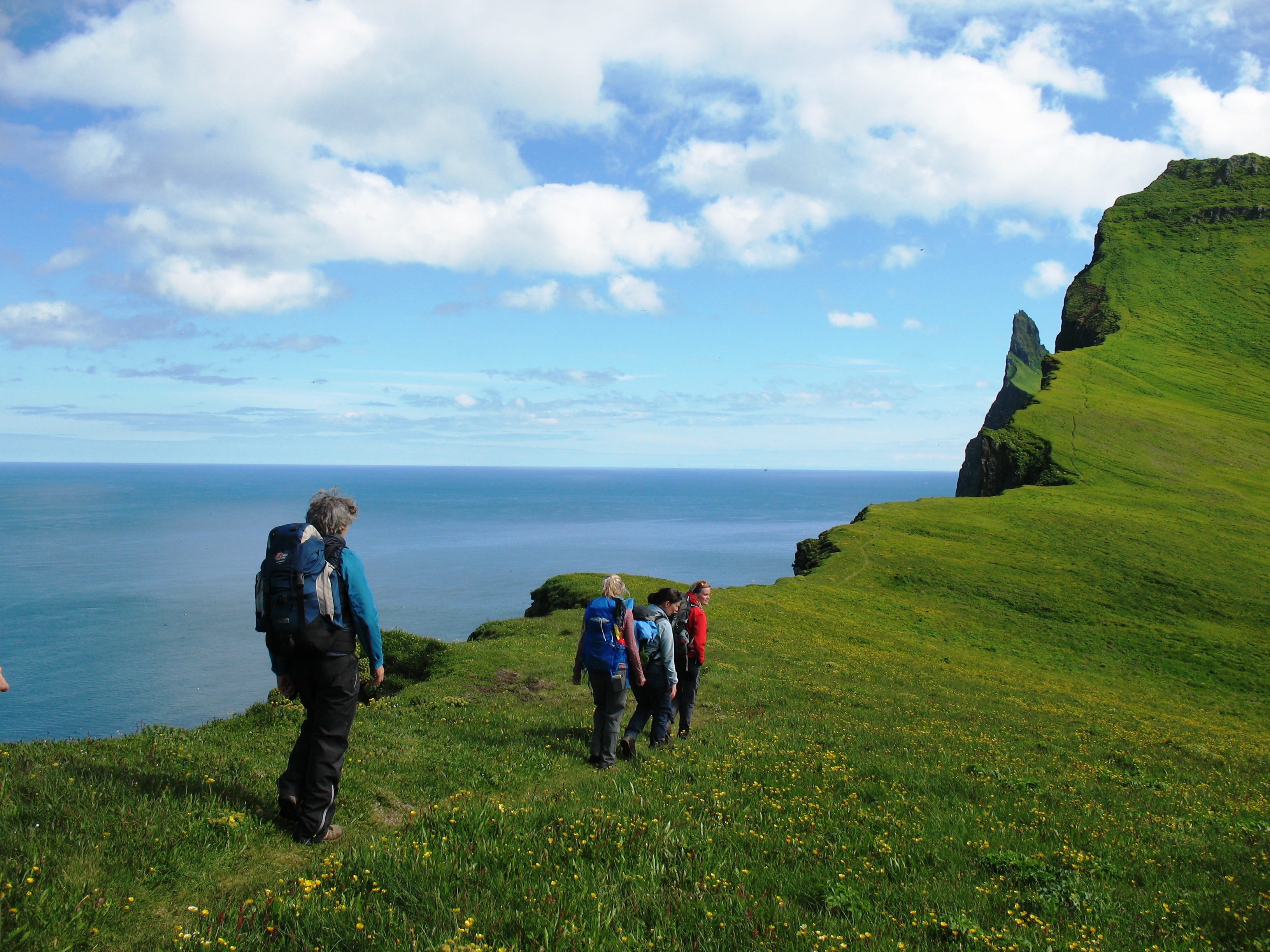 Wanderer vor einem markanten Berg im Naturreservat Hornstrandir, satt grüne Wiesen