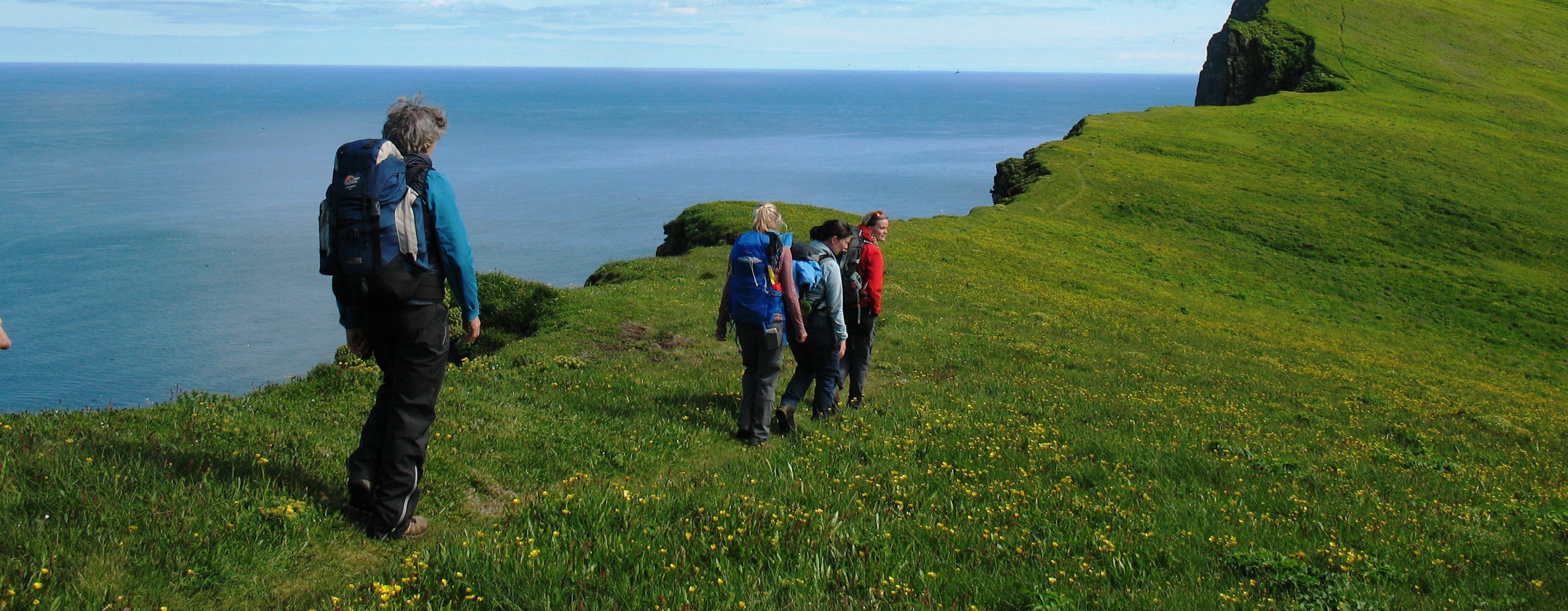 Wanderer vor einem markanten Berg im Naturreservat Hornstrandir, satt grüne Wiesen