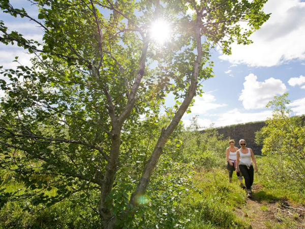 2 Frauen wandern in Island im Sommer