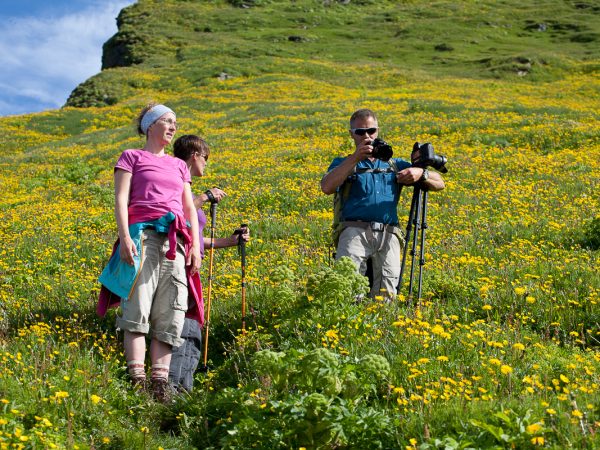 Wanderer macht Fotos auf einer grünen Wiese mit Blumen