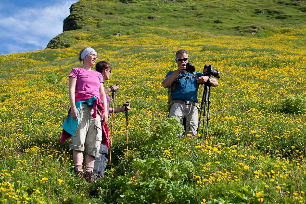 Wanderer macht Fotos auf einer grünen Wiese mit Blumen