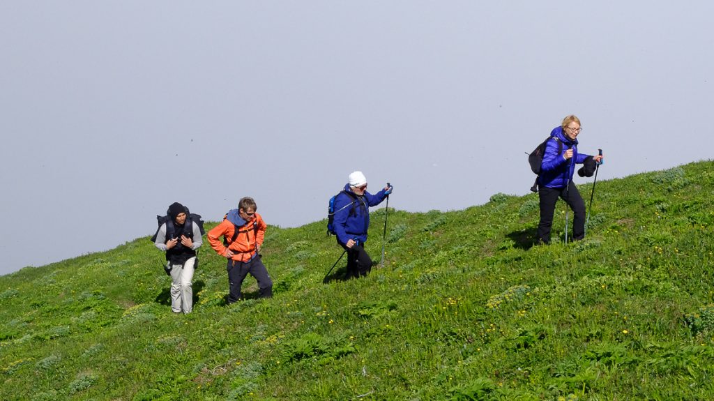 Wandergruppe auf grüner Wiese