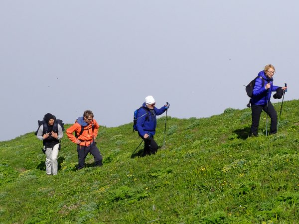 Wandergruppe auf grüner Wiese