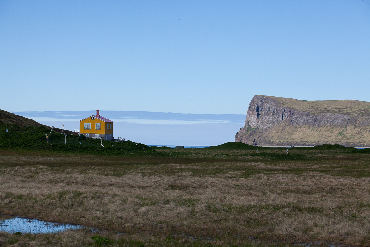 einsames gelbes Häuschen in den Westfjorden in Island