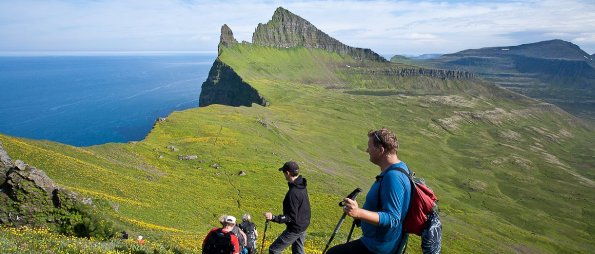 Wanderer in Hornstrandir